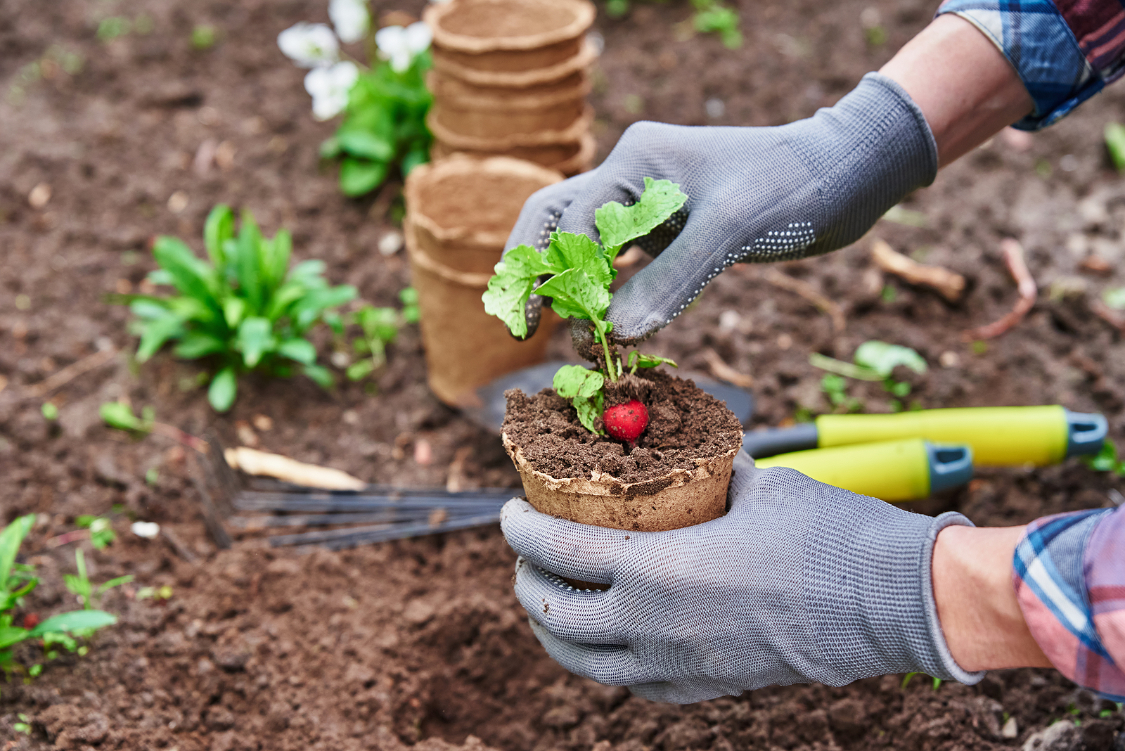 3 Reasons To Never Garden Without Gloves