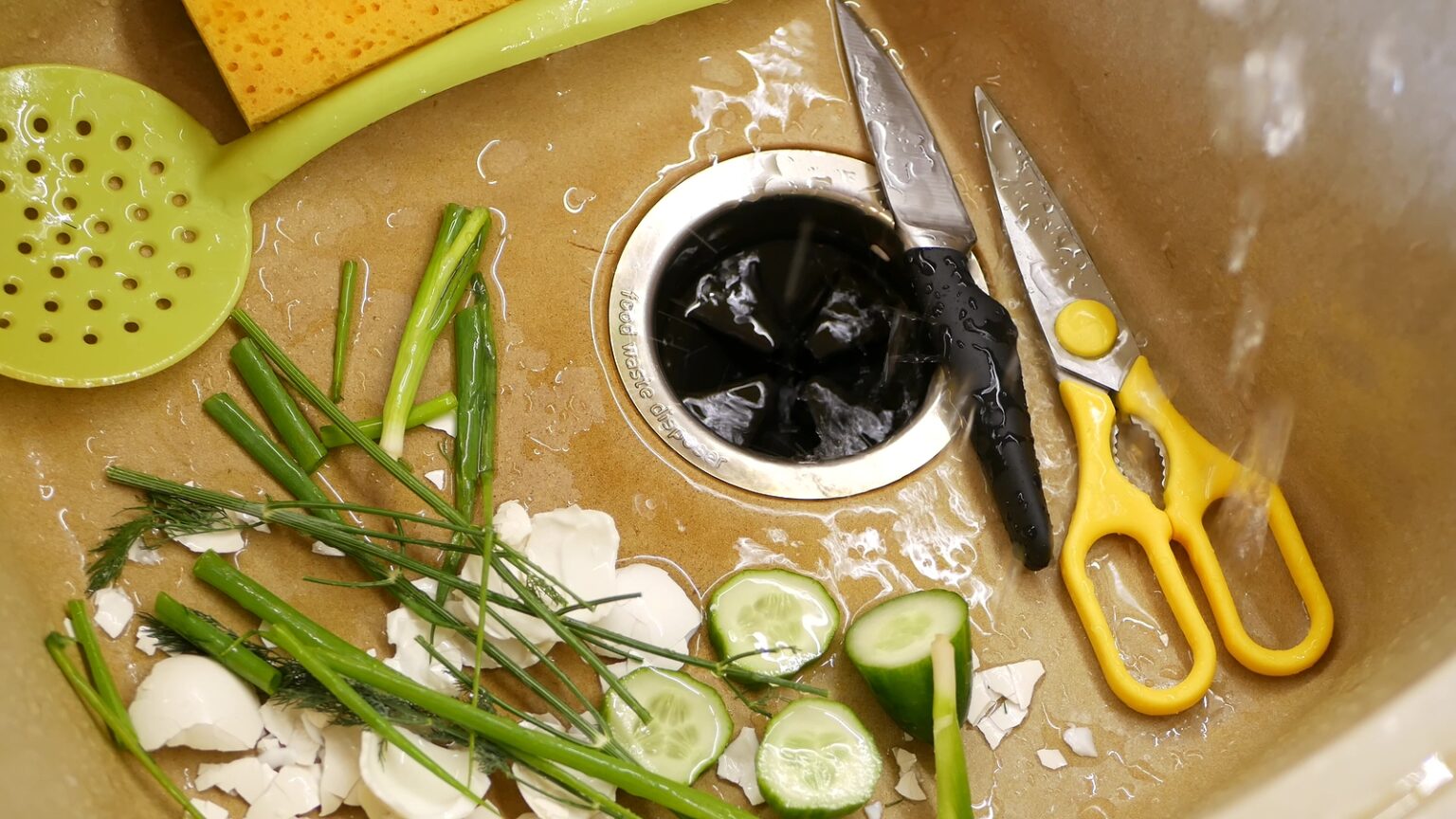 How to Fix a Stuck Garbage Disposal A StepbyStep Guide EXIT Realty