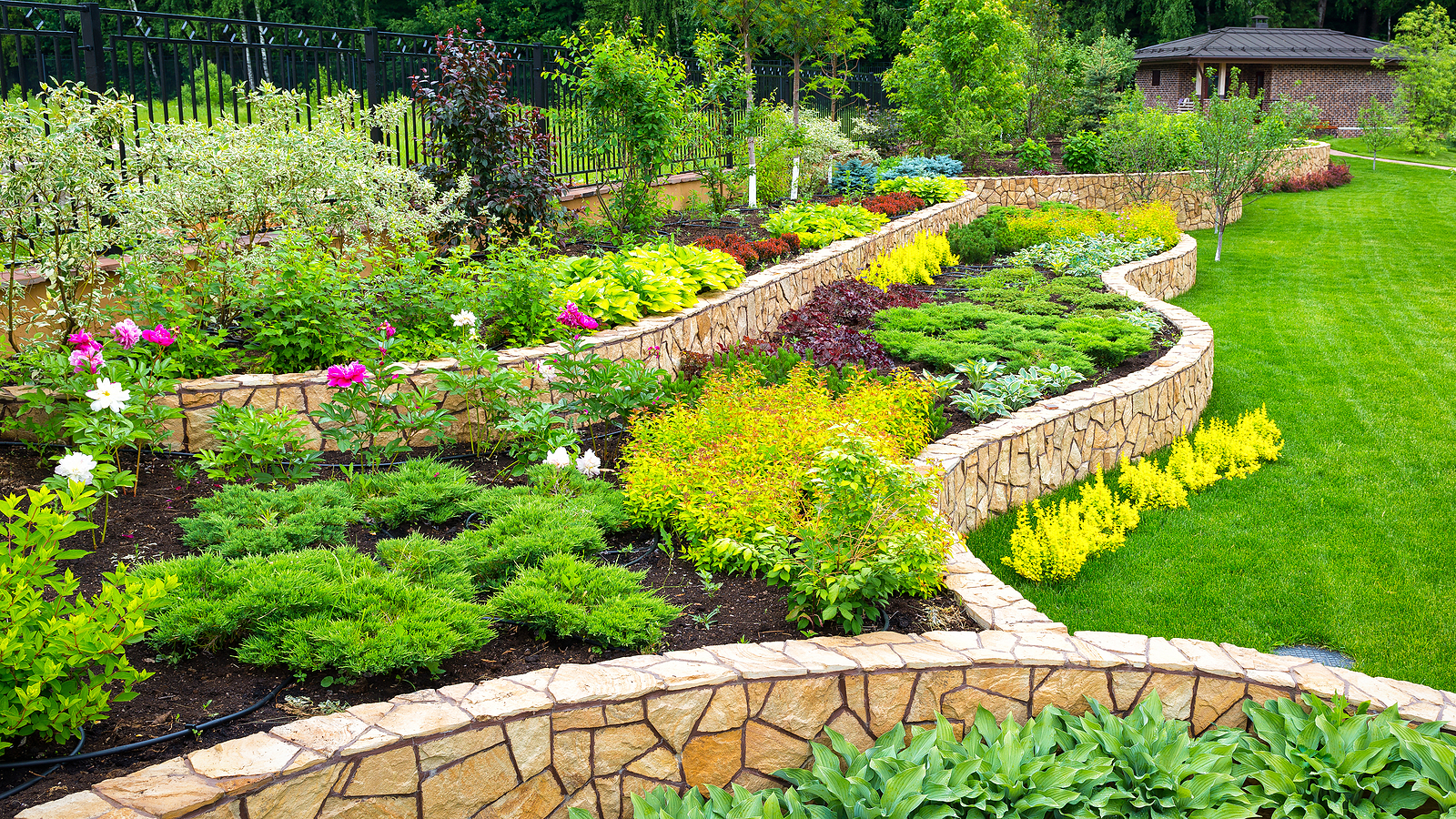 Landscaping panorama of home garden. Scenic view of landscaped garden in backyard. Landscape design with plants and flowers at residential house. Scenery of natural landscaping area in summer.