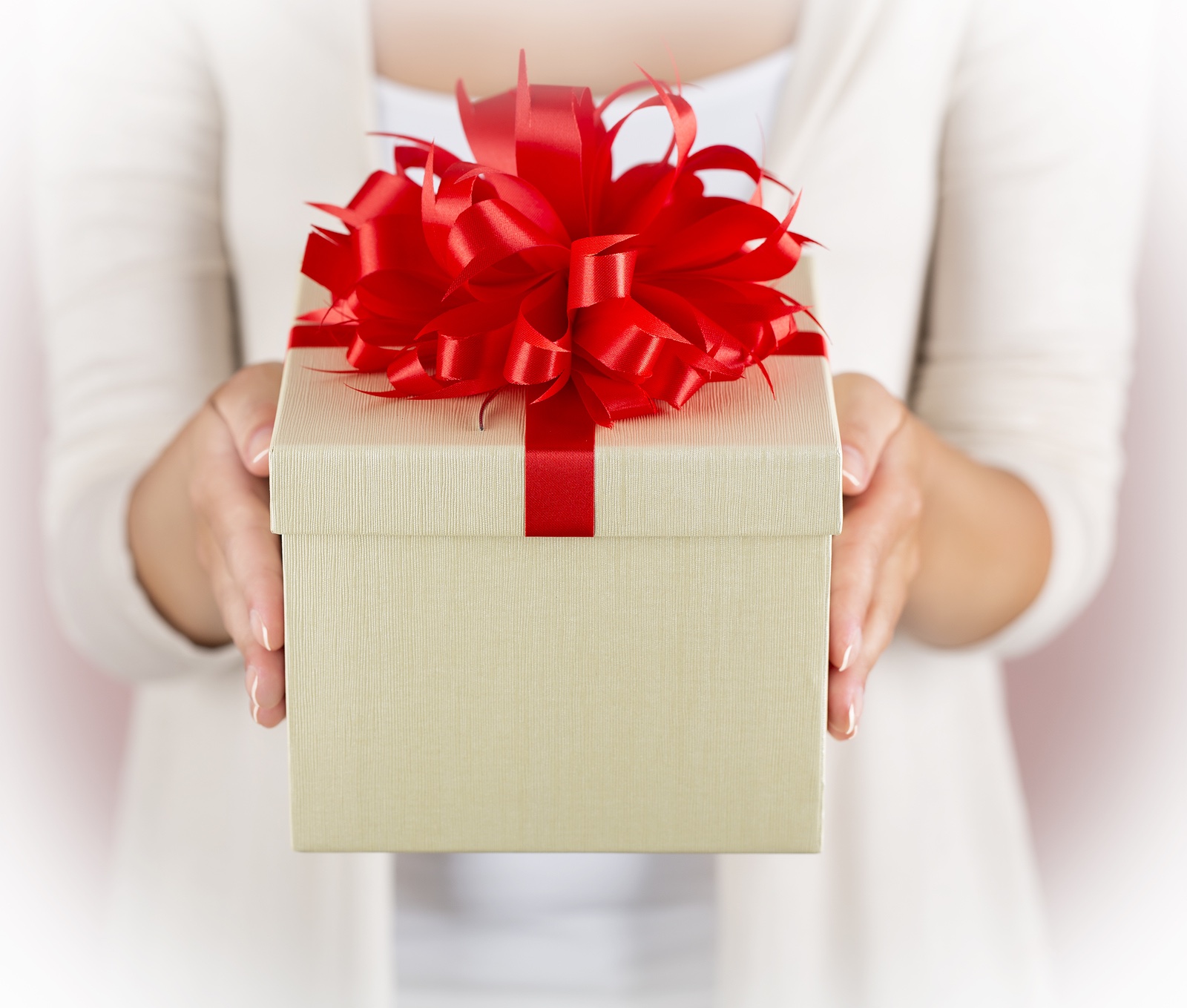 Hands holding beautiful gift box, female giving gift, Christmas holidays and greeting season concept, shallow dof