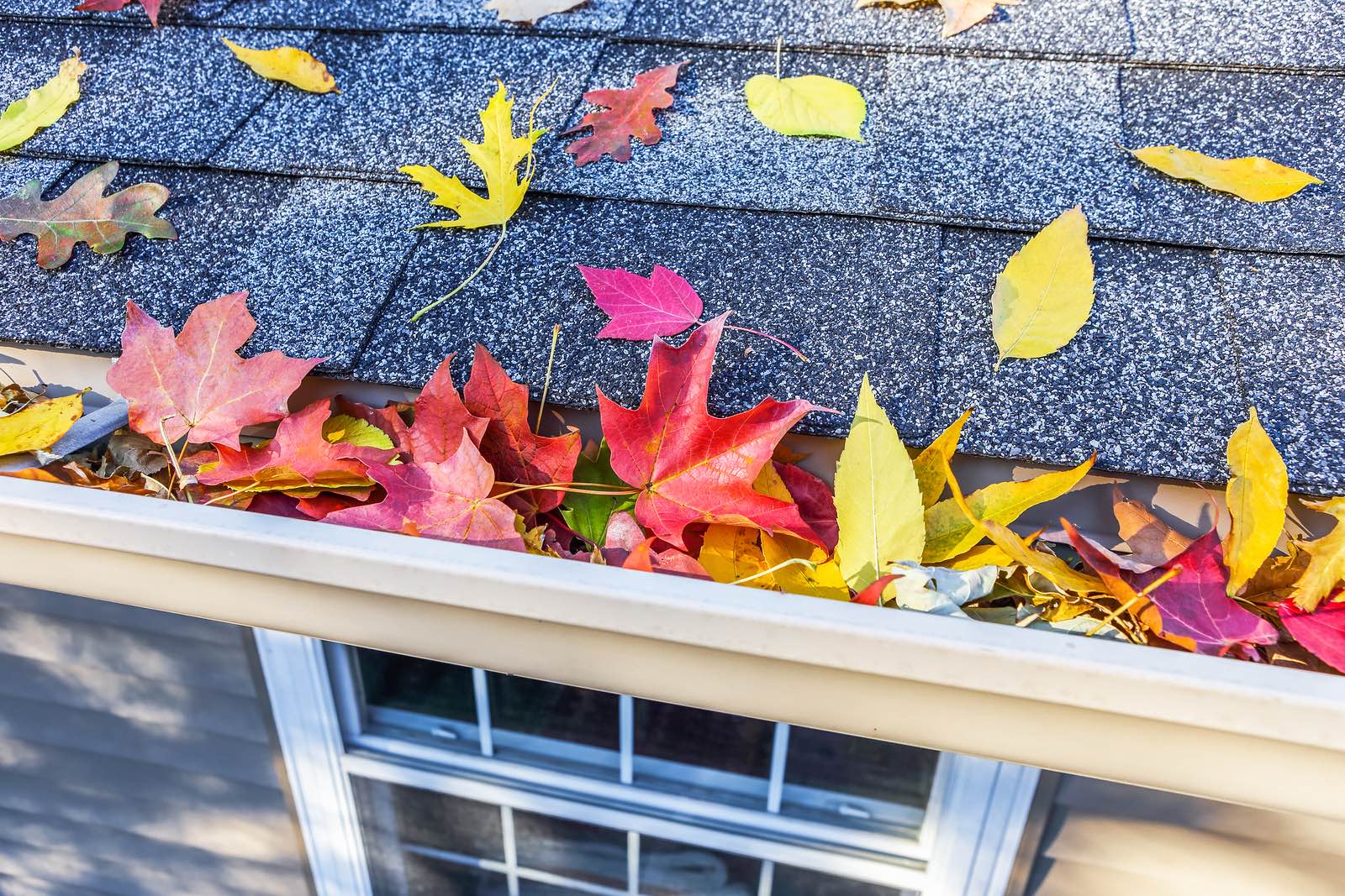 Don’t Neglect This Fall Home Maintenance Chore
