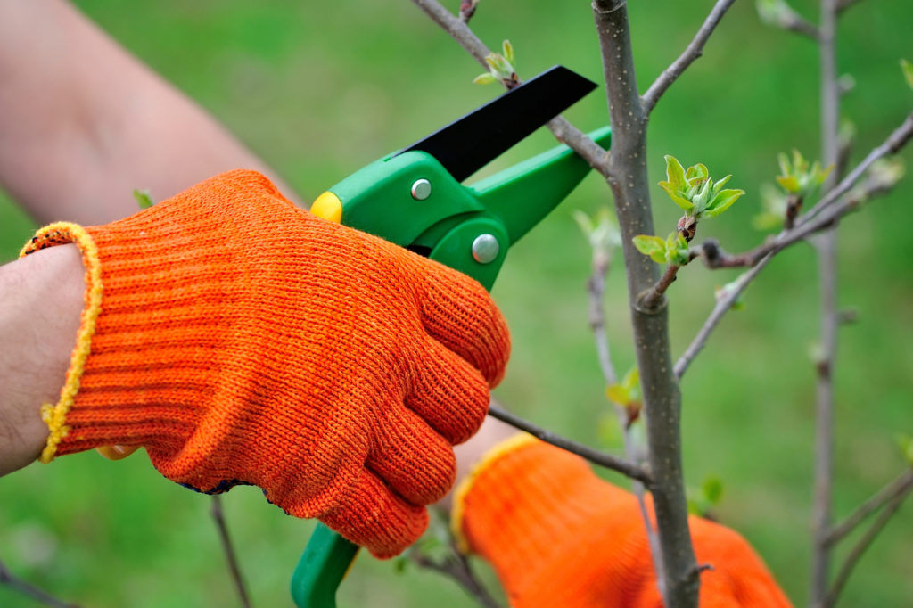 get your garden ready for spring