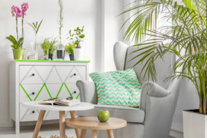 help for sick houseplants