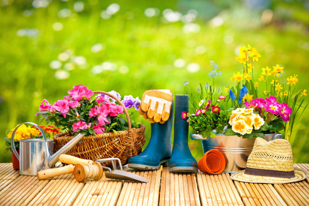 balcony gardening