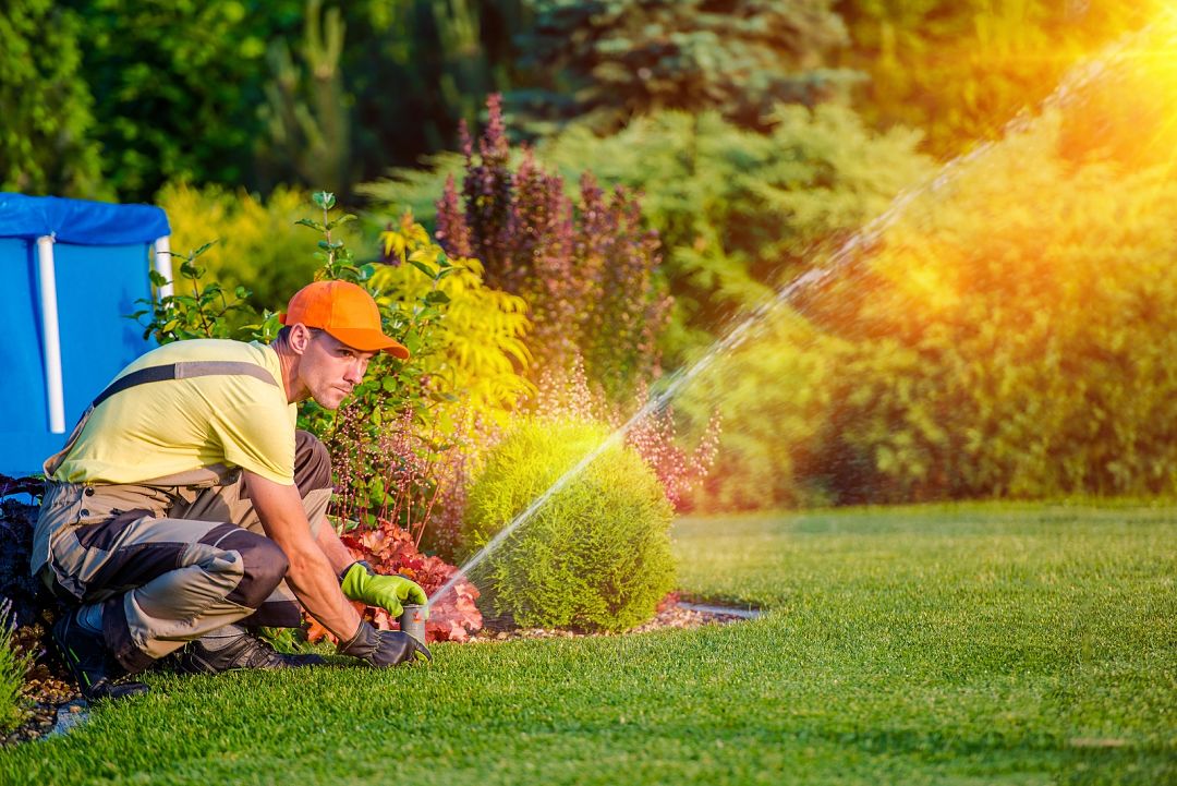 how to water your lawn