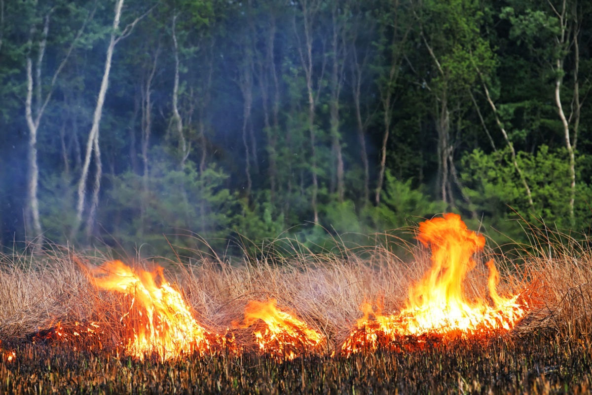 It’s wildfire season – are you ready?