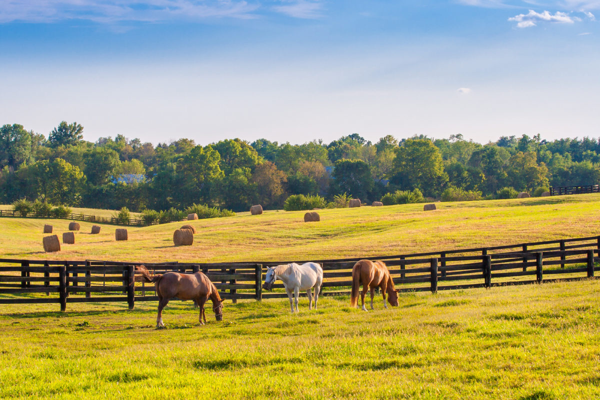 7 critical aspects of buying farm or ranch property