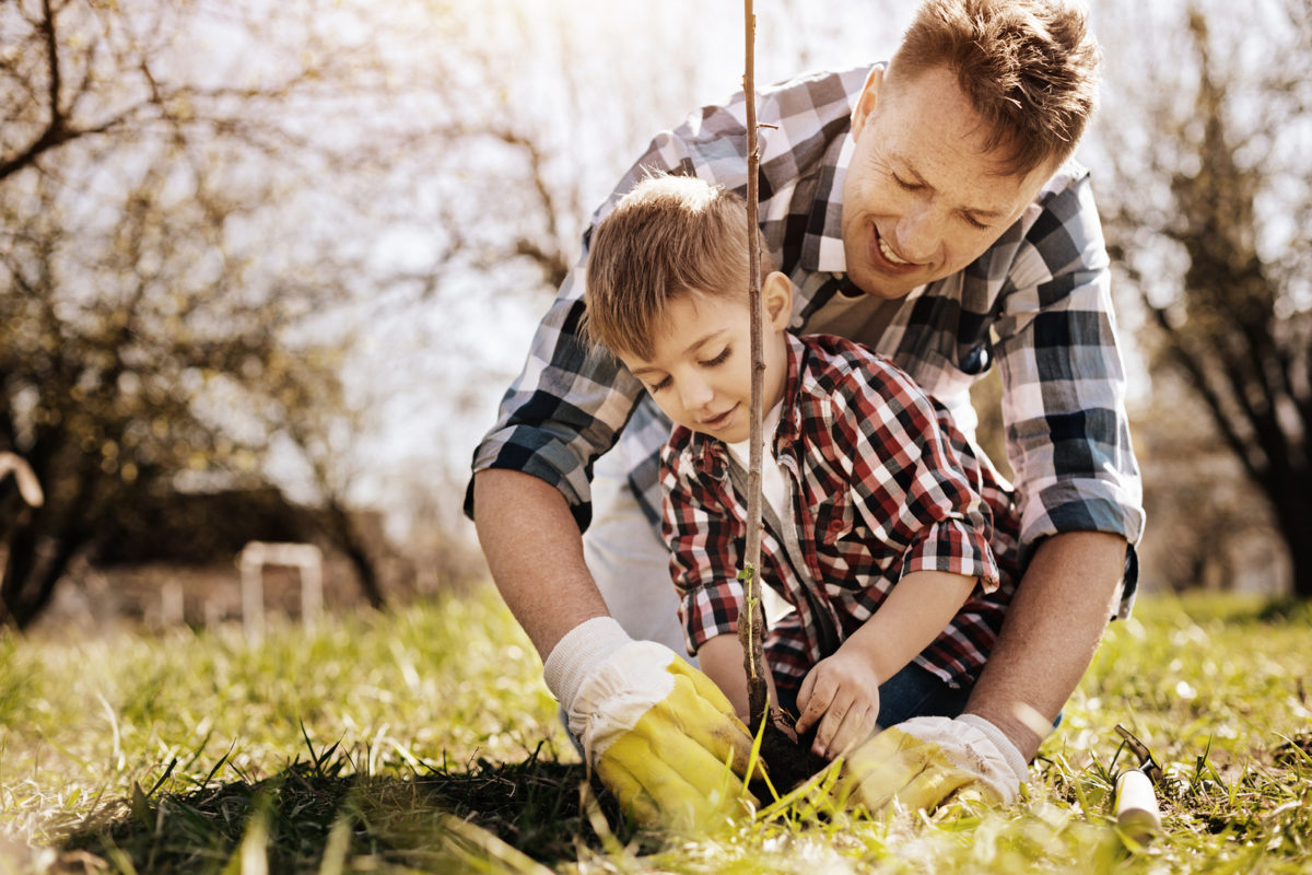 It’s spring! Let’s debunk 3 common gardening myths