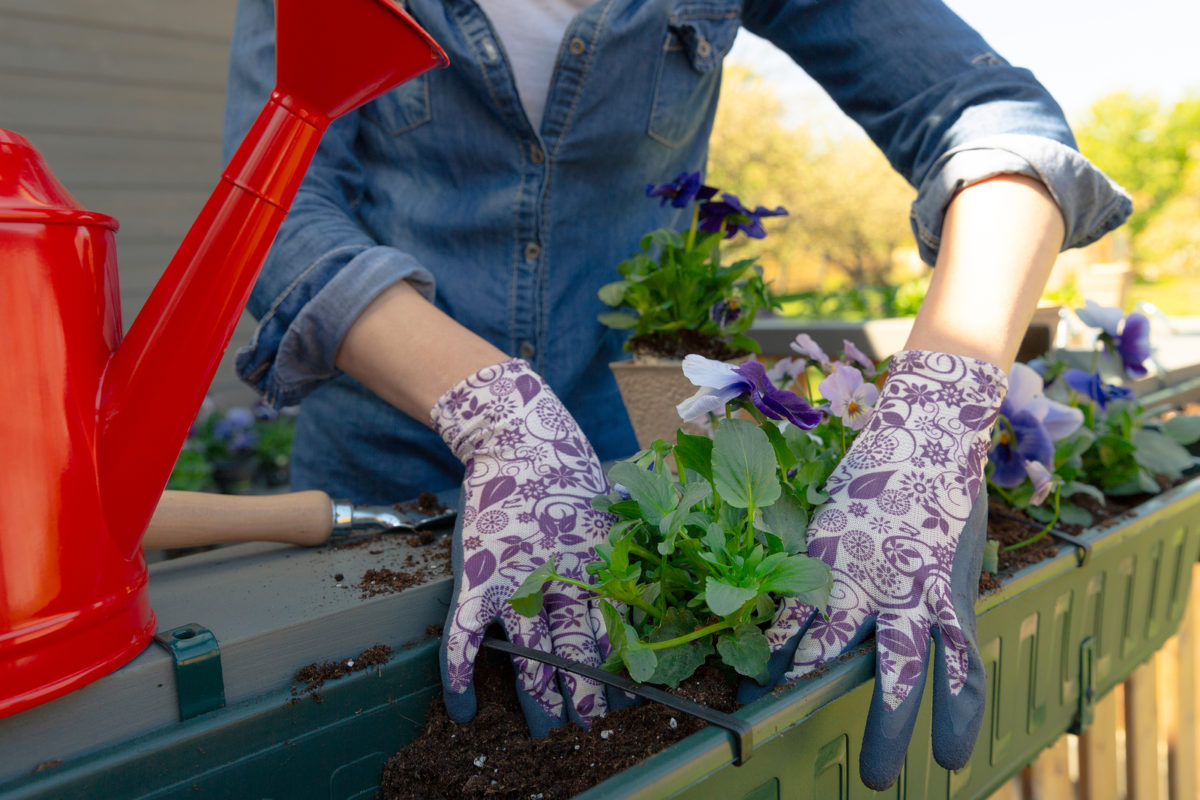 Spring and summer gardening for condo dwellers