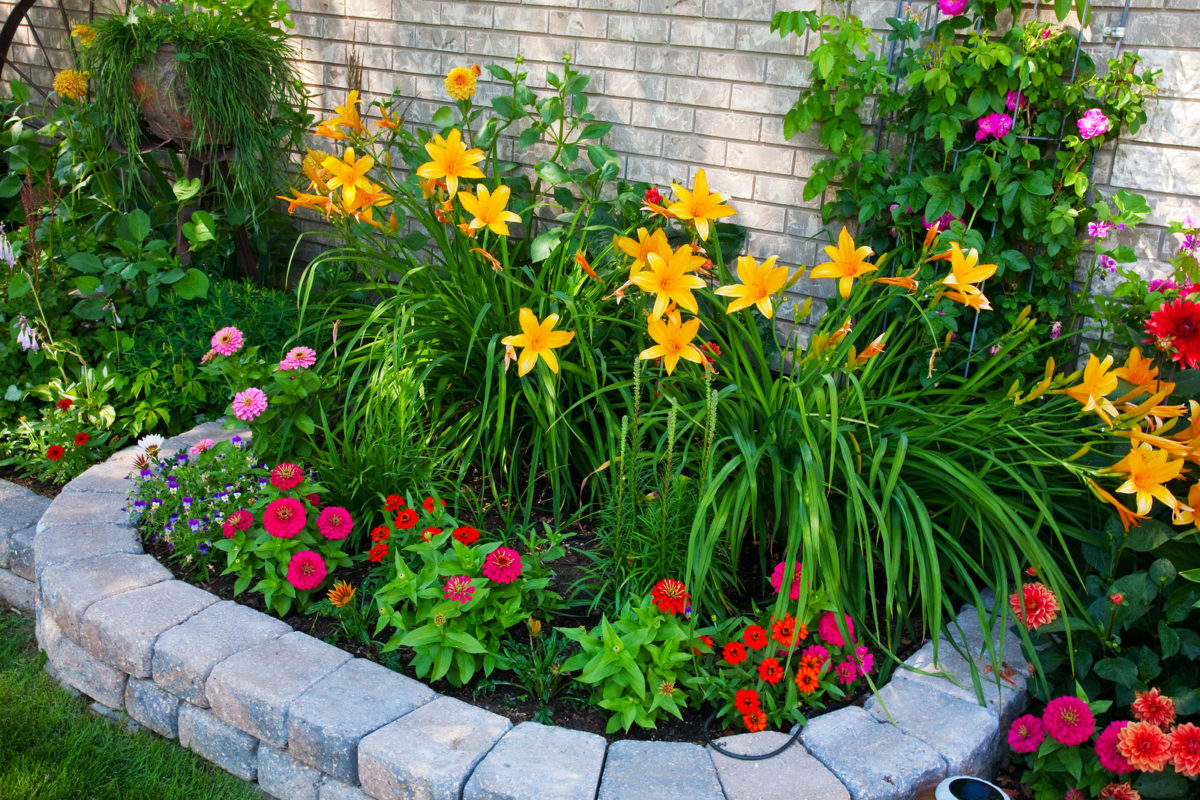 It’s almost spring and time to plan the perfect flower bed