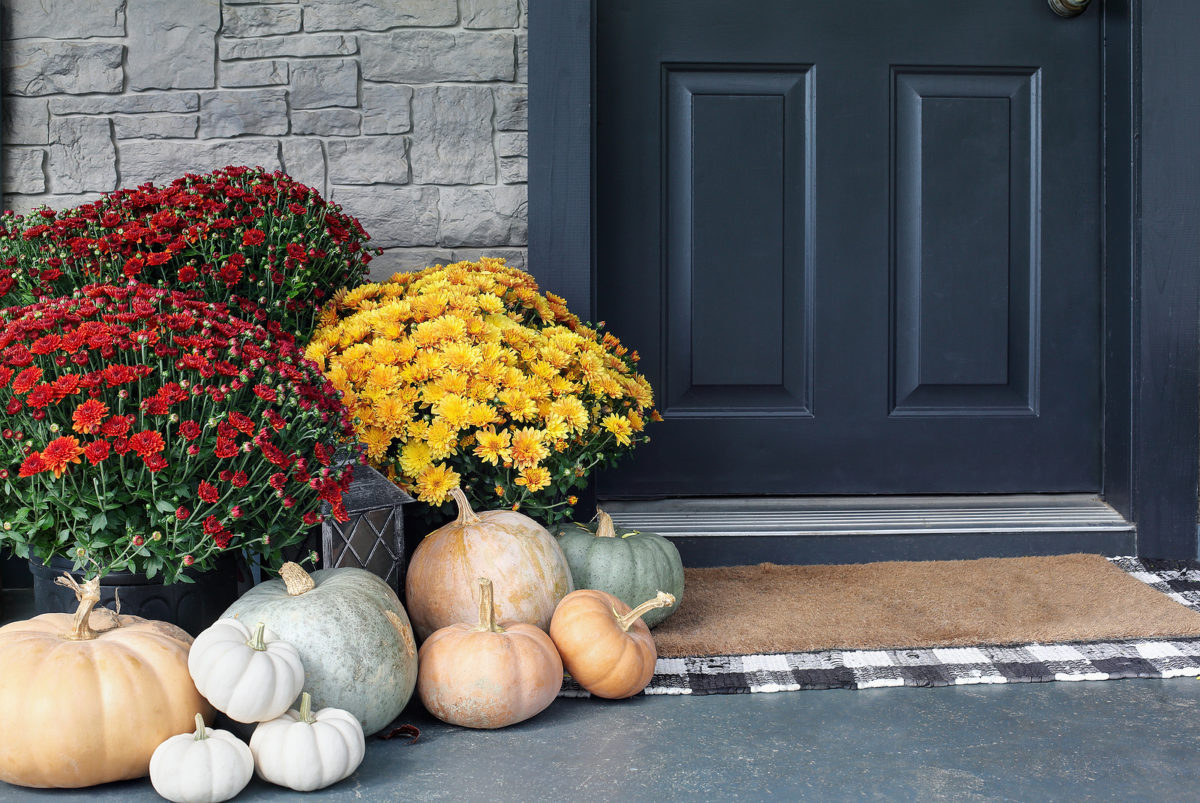 Fall: Time to plant those mums!