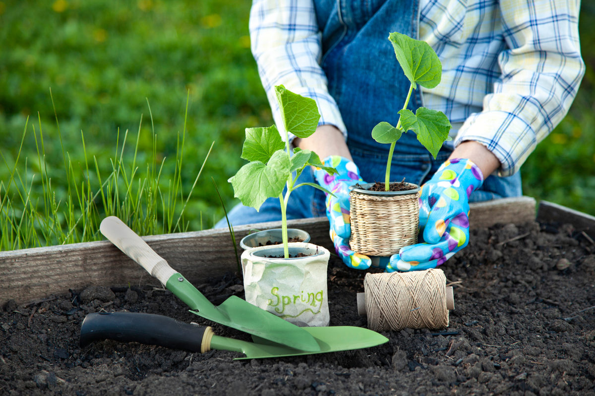 The gardening season starts now!