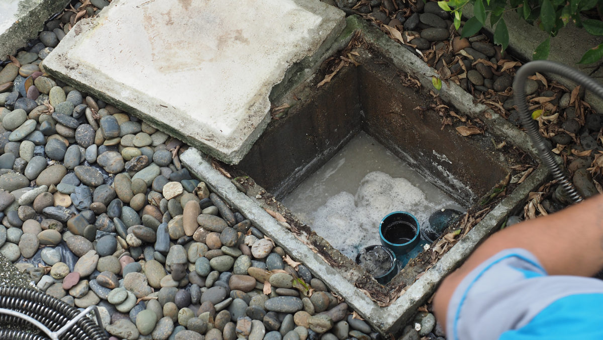 Clogged drains? Check out these DIY fixes!