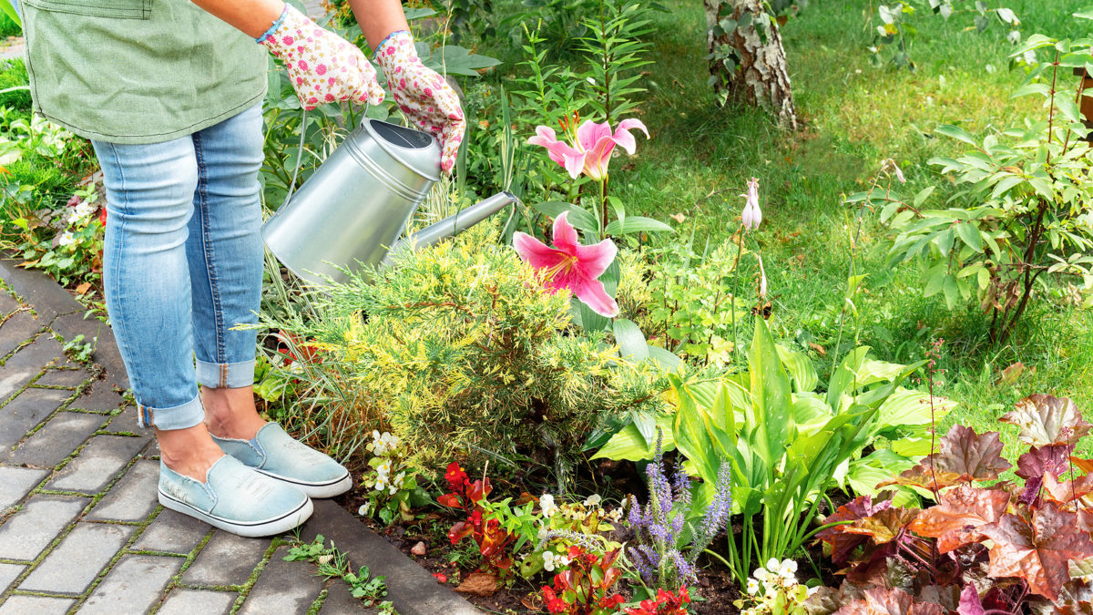 DIYs for instant impact in your garden