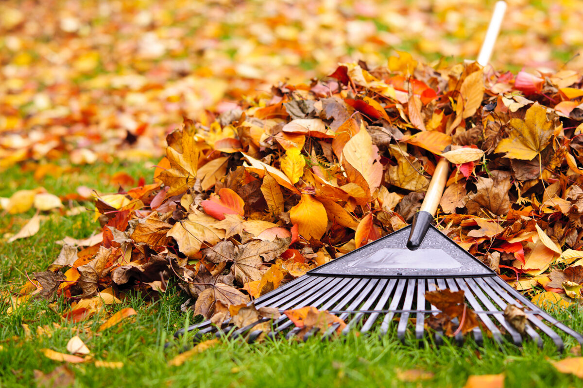 Your Fall Maintenance Checklist: Protect Your Investment Before Winter