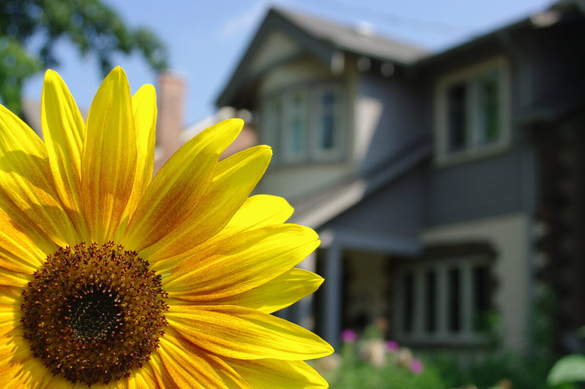 3 Trends Shaping Springtime Real Estate