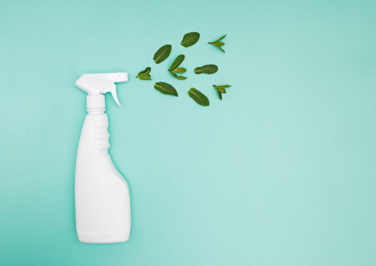 Spring Cleaning Goes Green: Non-Toxic Products & DIY Hacks for a Healthier Home