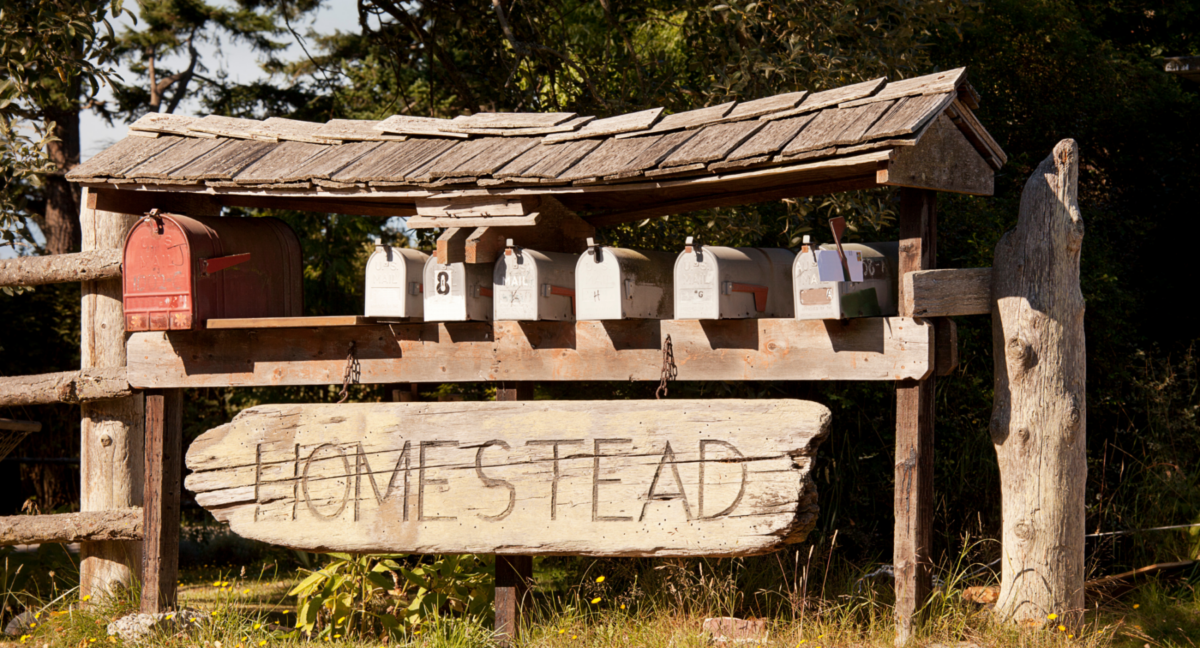 Homesteading Homes: The Next Big Trend for Home Buyers and Sellers